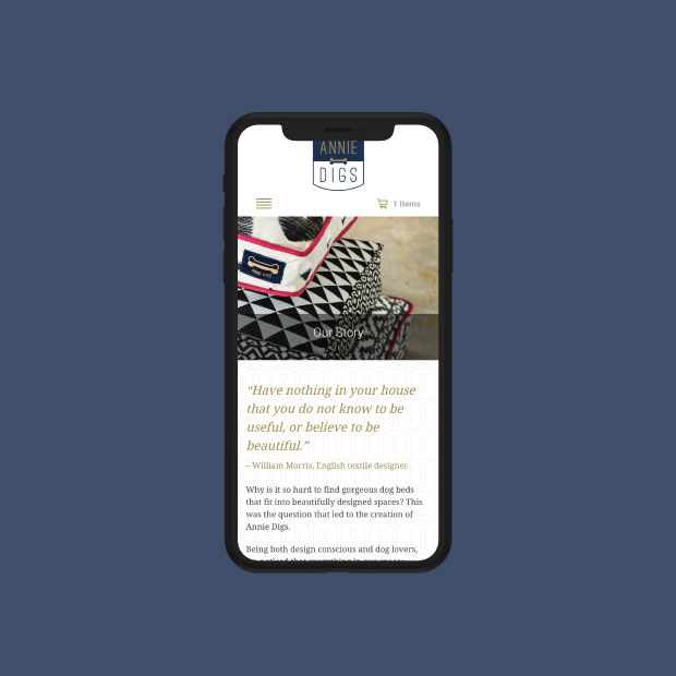 DesignGood custom Shopify website for Annie Digs