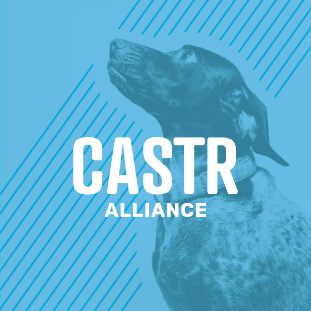 CASTR Alliance